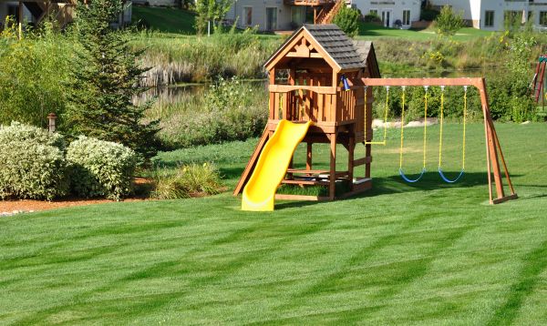 Play Structure Moving